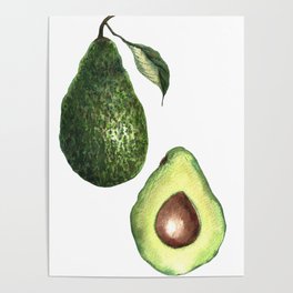 Watercolour painted avocado fruit with leaves sliced Poster