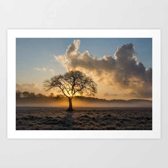 lone tree Art Print