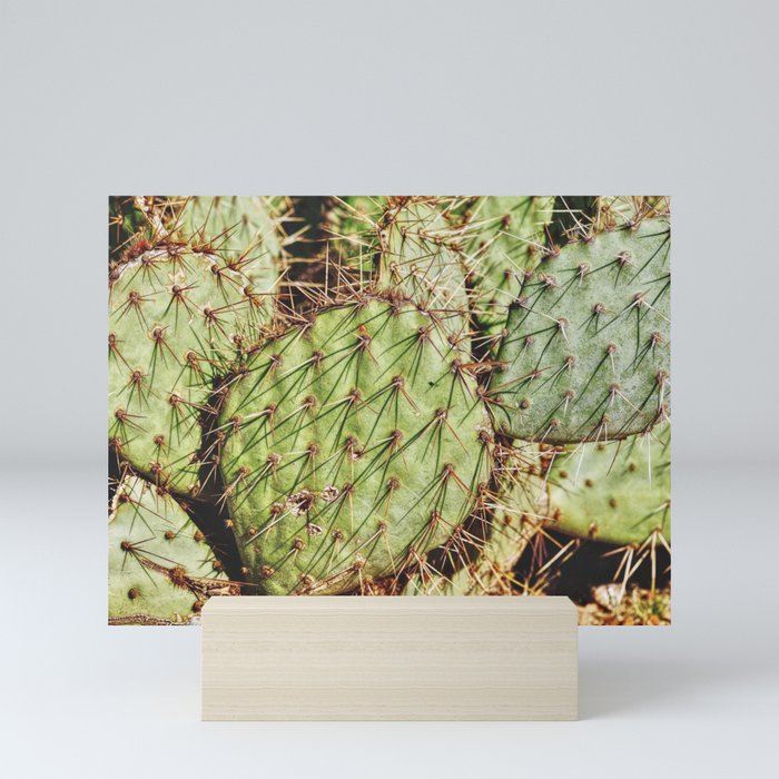 Desert Cactus Detail Mini Art Print