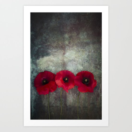 Three red poppies Art Print