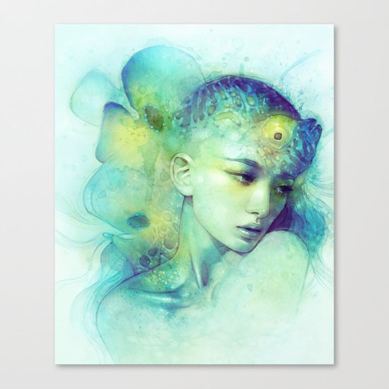 Fin Canvas Print