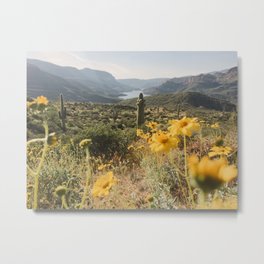 Desert Wildflower Superbloom Metal Print