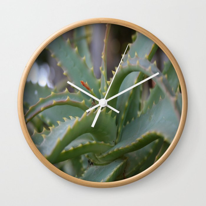 Aloe Vera Leaves  Wall Clock