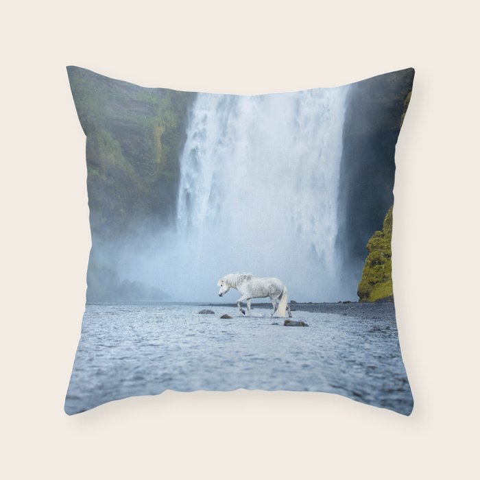 Throw Pillow