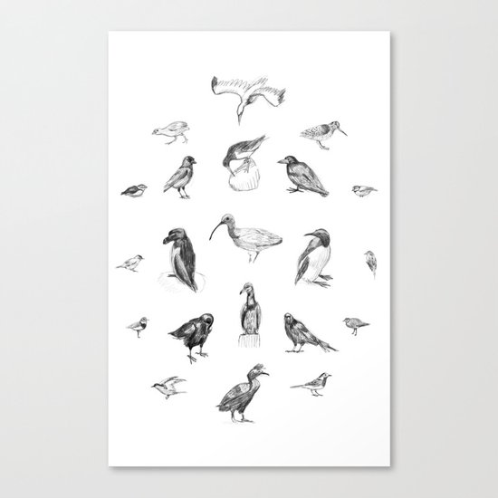 Manx Fauna - (British) Birds Canvas Print