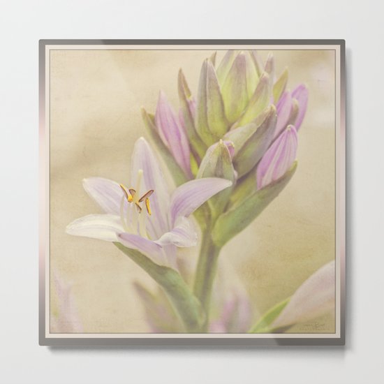 Summer Pastel Metal Print