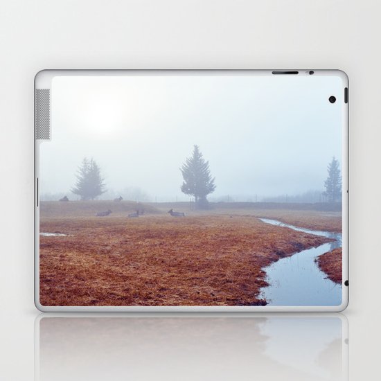 Twilight Laptop & iPad Skin