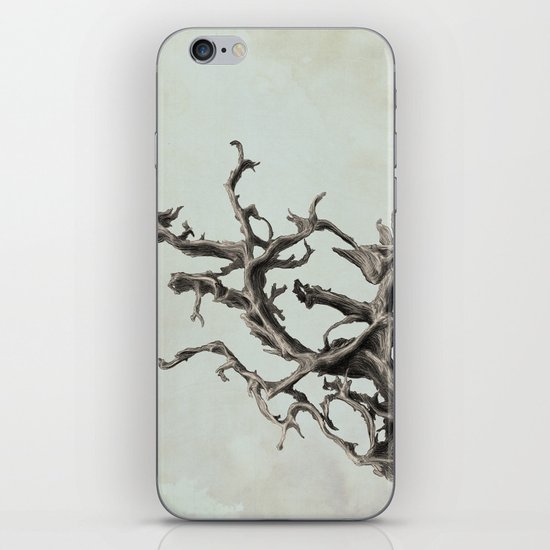 Spirits of the Driftwood iPhone & iPod Skin