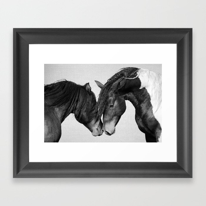 Horses - Black & White 4 Framed Art Print