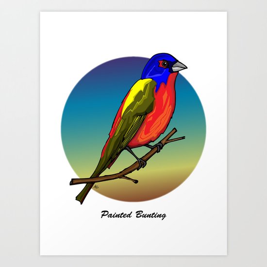 PAINTED BUNTING Art Print