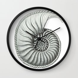 Ammonite  Wall Clock