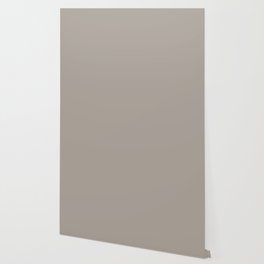 Mid-tone Neutral Brown Taupe Solid Color Pairs with Sherwin Williams Angora SW6036 Wallpaper