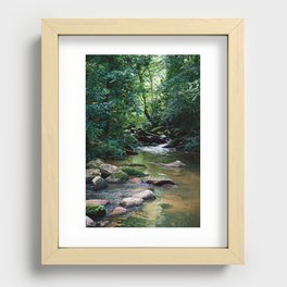 Jungle River Recessed Framed Print