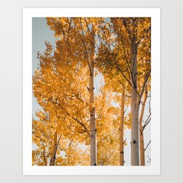 Autumn II Art Print