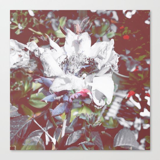 Blue Hues Canvas Print
