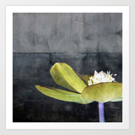 Set in Stone II Art Print