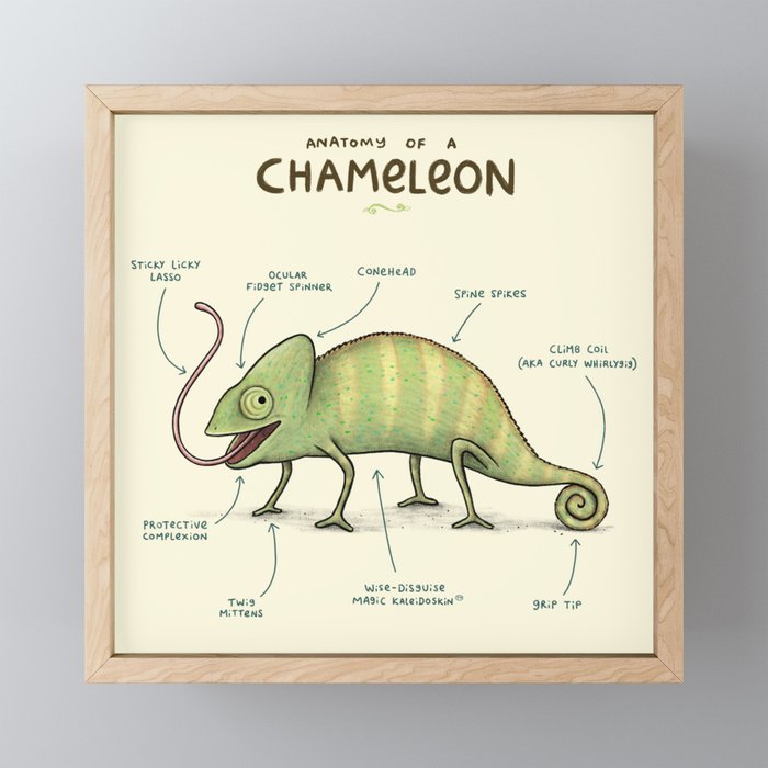 Anatomy of a Chameleon Framed Mini Art Print