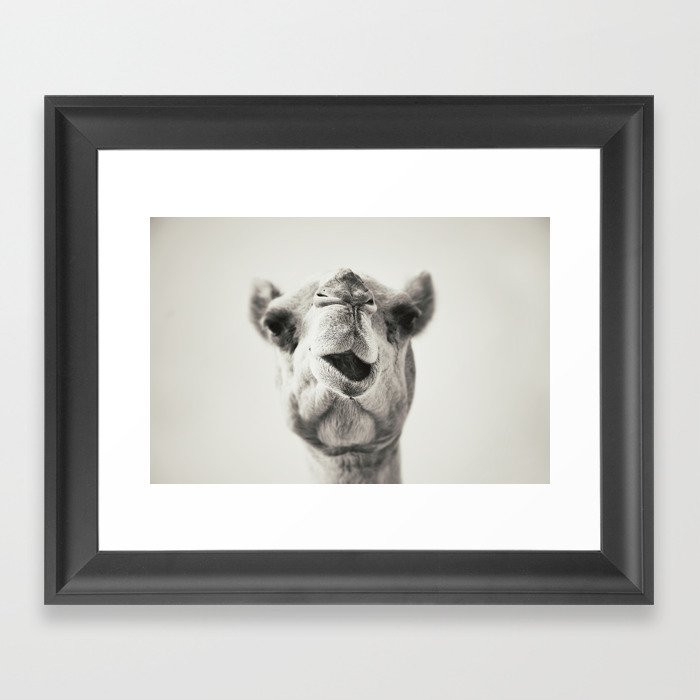 Camel Framed Art Print