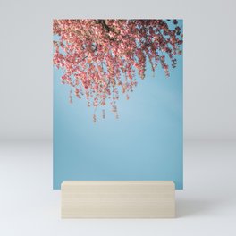Pink blossom flowers in spring | Nature Photography |  Mini Art Print