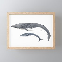 Fin whale Framed Mini Art Print