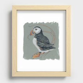 Canadian Birds Series Atlantic Puffin Colored Pencil Art Recessed Framed Print