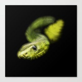 Spiked Green Snake Canvas Print