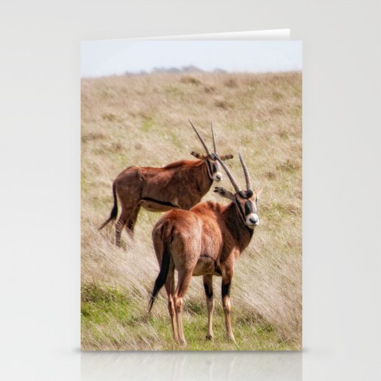 Wide open spaces Stationery Cards