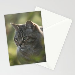 Tabby cat Stationery Card