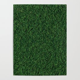 Grass Texture Poster