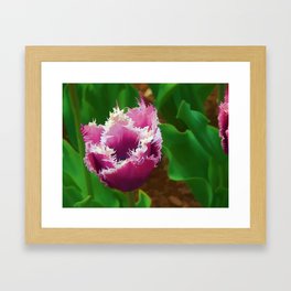 Pear Tulip Framed Art Print