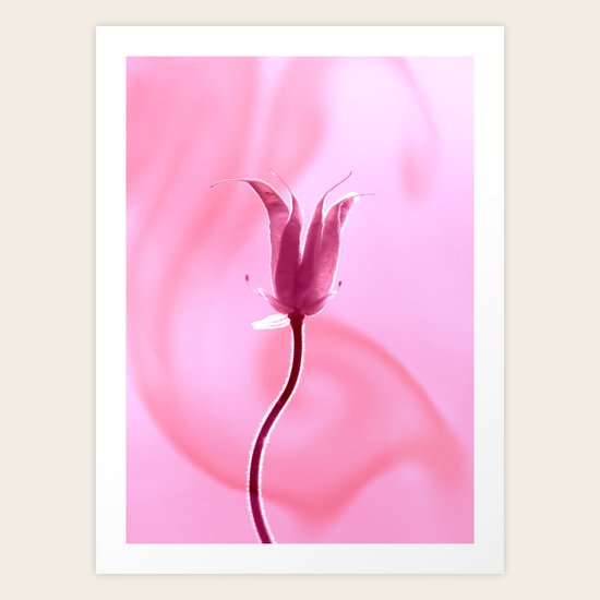 Elegance Art Print