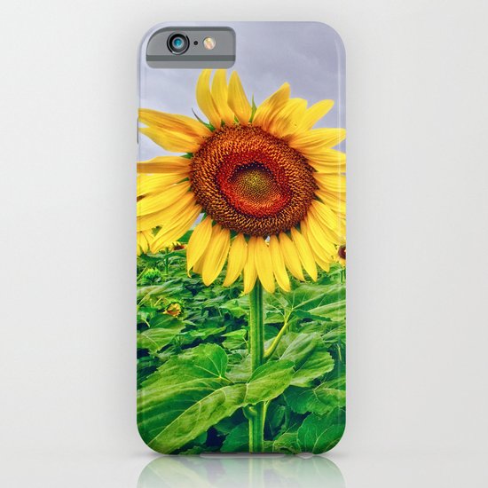 Enchanted Sunflowers iPhone & iPod Case