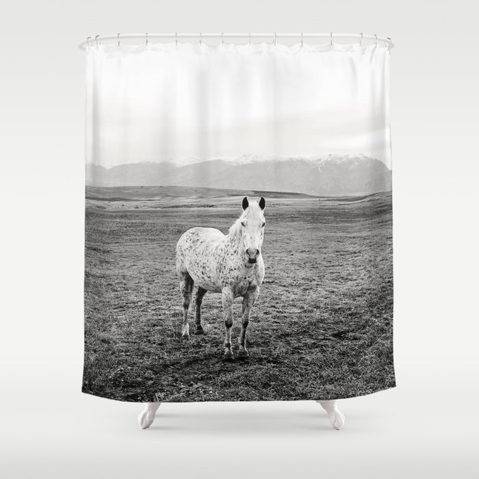 Appaloosa Horse Western Art Shower Curtain
