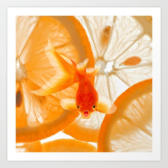 Orange Fish Art Print