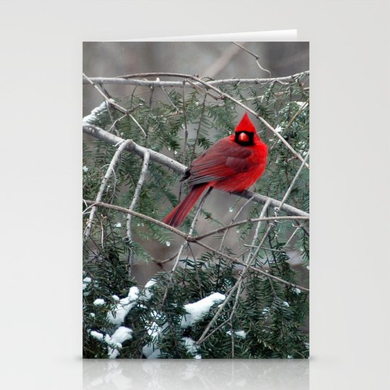 Winter Cardinal Stationery Cards