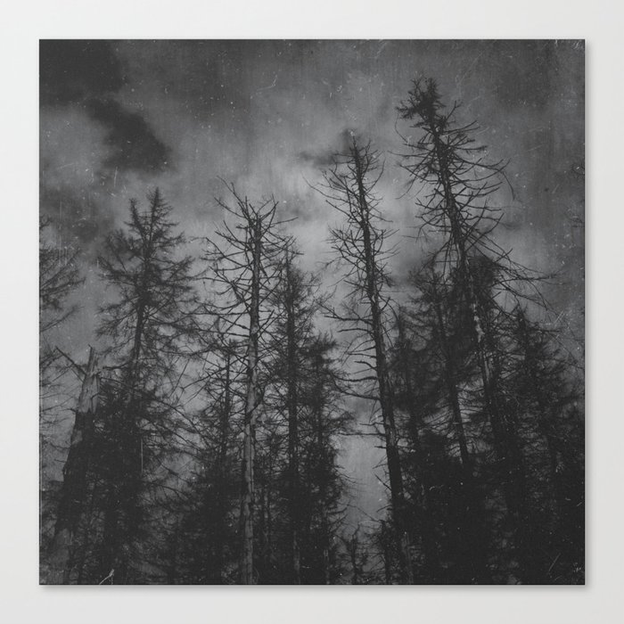 Transmission // Vintage Mountains Moody Forest With Dead Souls Cascadia Trees in Moonlight Canvas Print