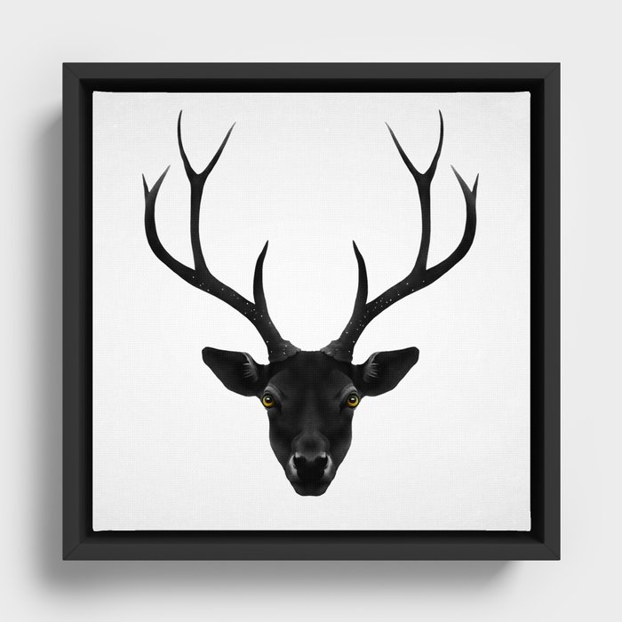 Framed Canvas