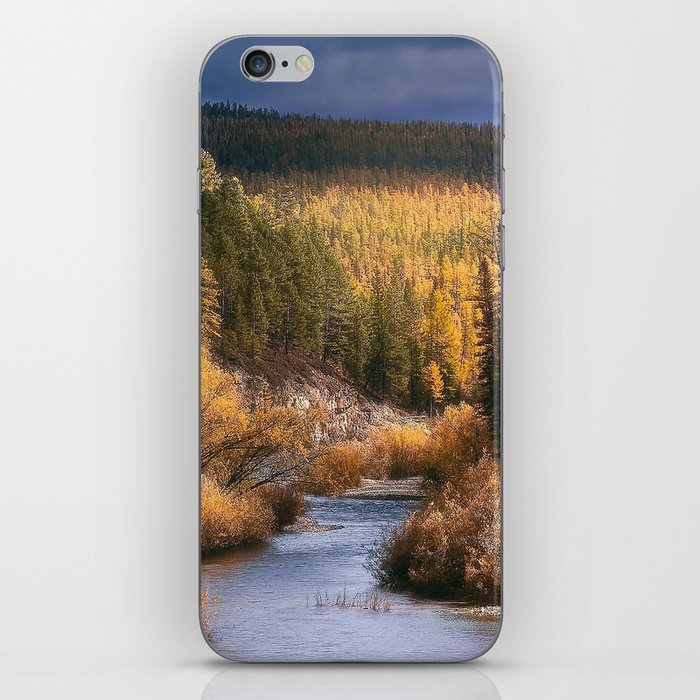 siberia iPhone Skin