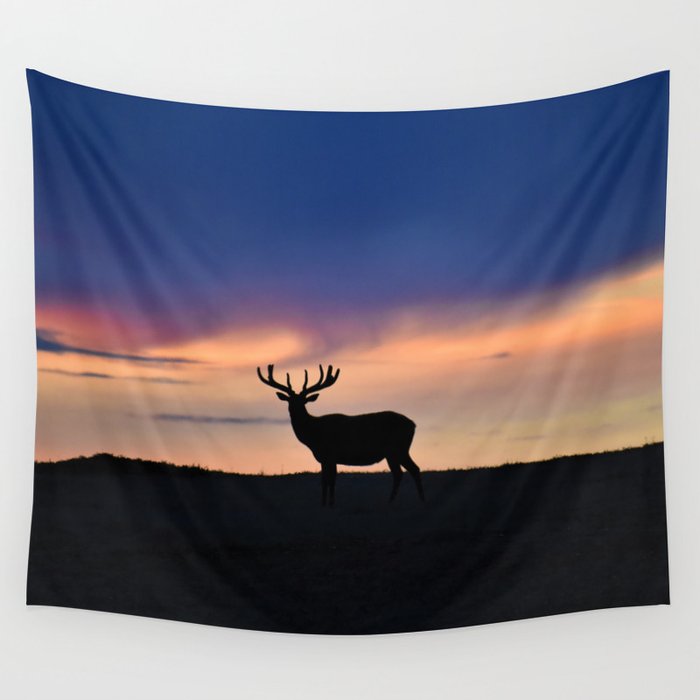 Sunset Beauty Wall Tapestry