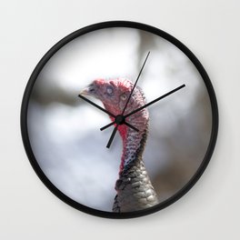 Watercolor Zombie Bird, Wild Mirriam's Turkey 08, Endovalley, RMNP, Colorado Wall Clock
