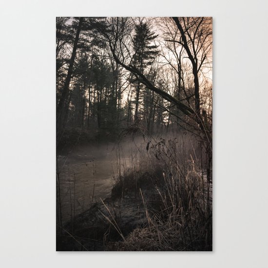 Winter's Hold Canvas Print