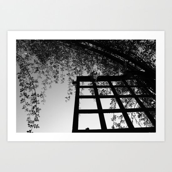 Rose Garden Art Print