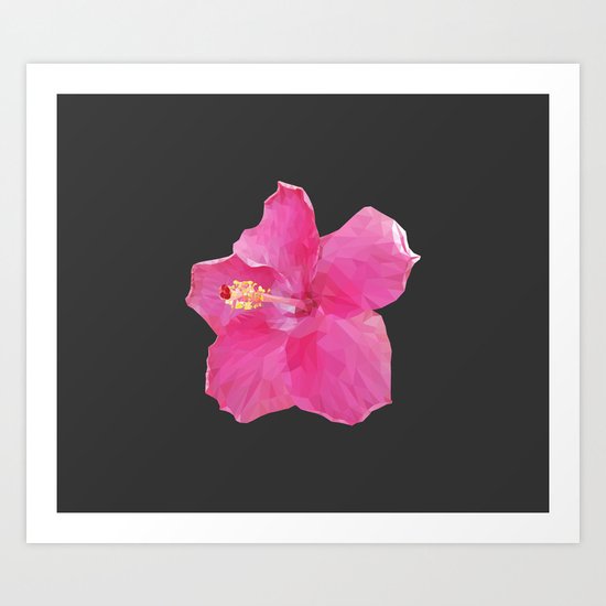 Pink Hawaiian hibiscus Art Print