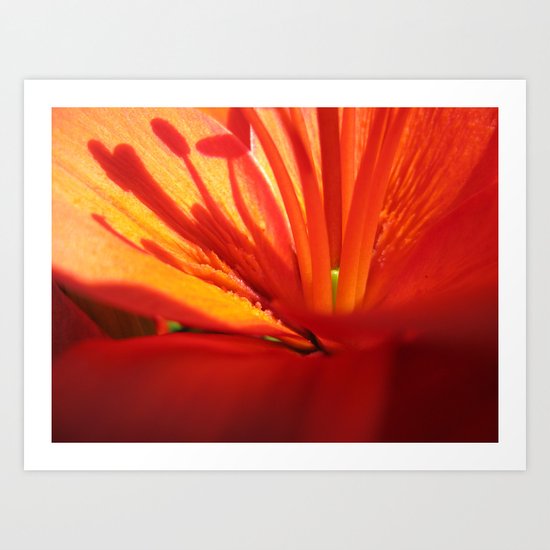 Red Stamen 86 Art Print