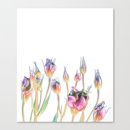 Fantasy Florals #society6 #decor #buyart Canvas Print