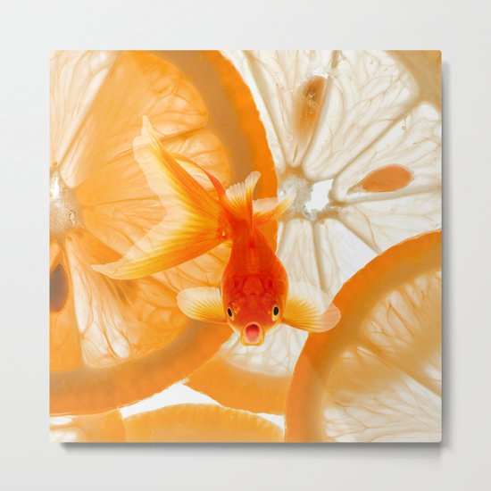 Orange Fish Metal Print