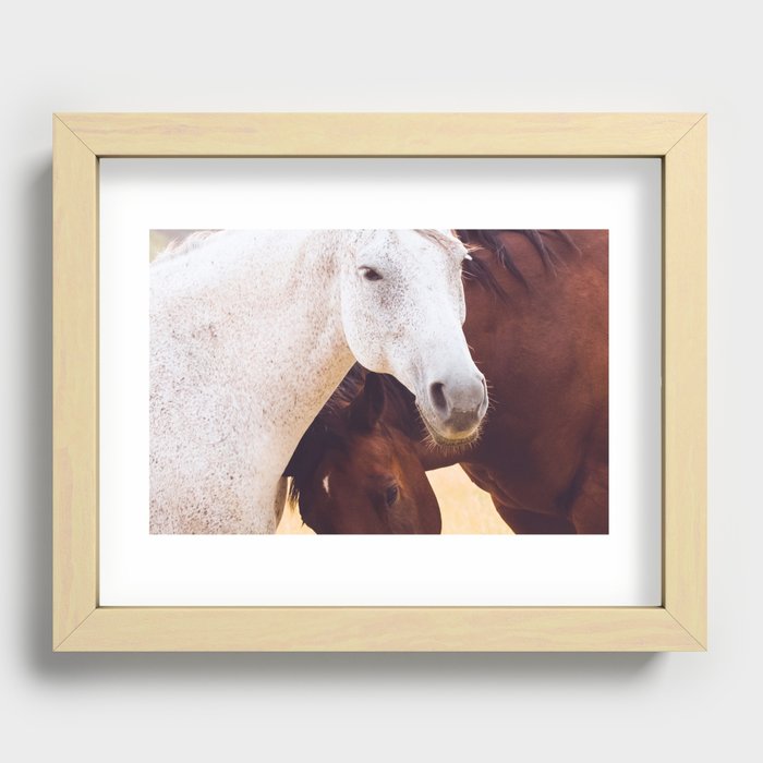Horse Love Recessed Framed Print