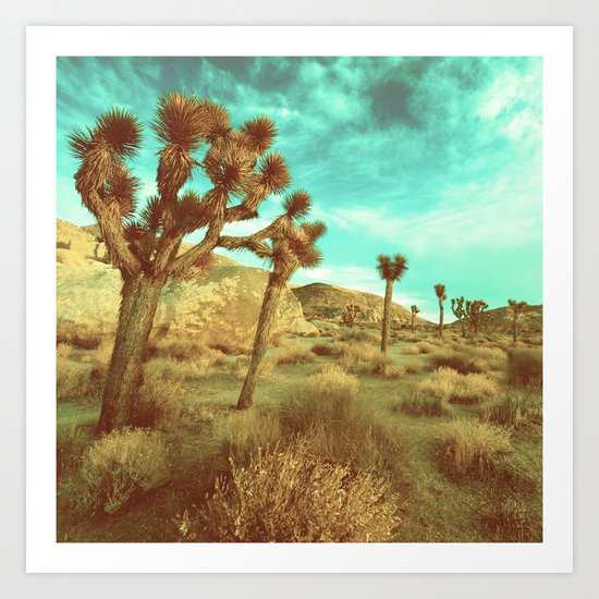 Desert Cactus Art Print