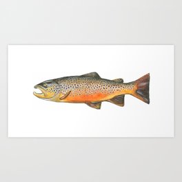 Smith River Brown Art Print