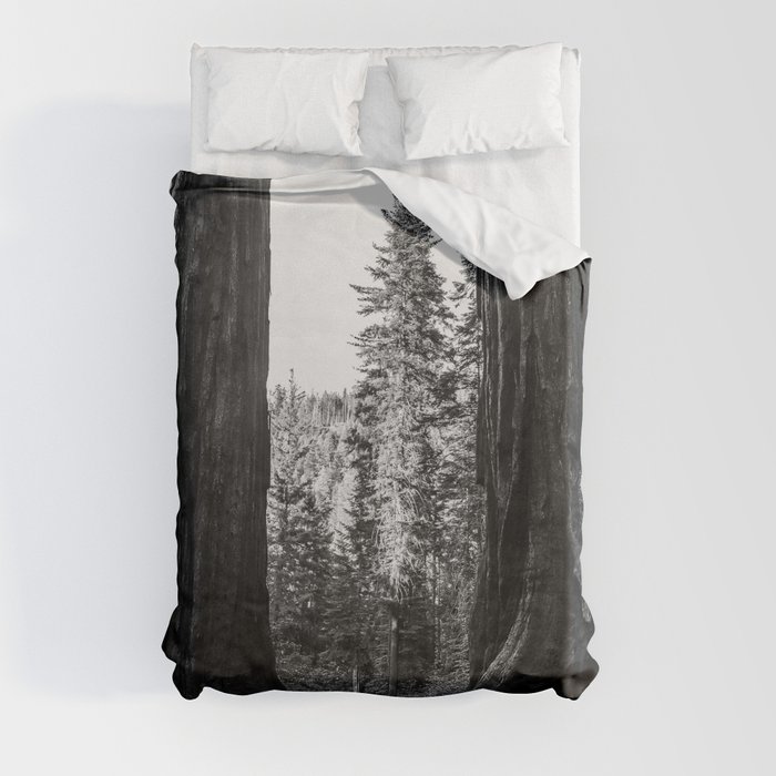 Twin giant redwoods / sequoias Pacific Coast California nature black and white landscape photograph / photography Duvet Cover